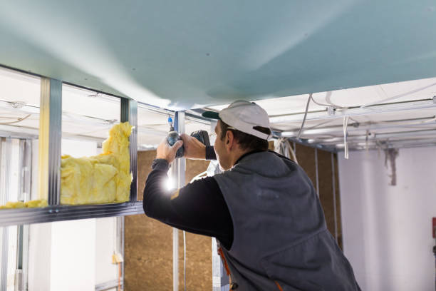 Best Blown-in Insulation  in USA