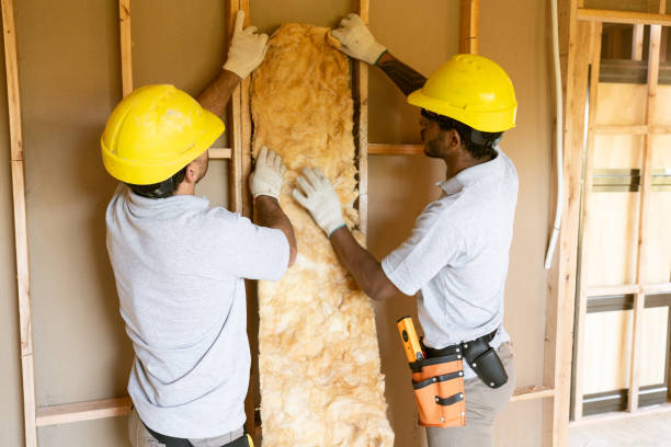 Best Soundproof Insulation Installation  in USA